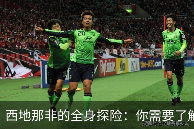 西地那非的全身探险：你需要了解的五个关键影响